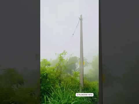 ☘️🌧️ #palakkayamthattu#vibes#viralshort #trendingshorts#trend #viralvideo #shortvideo #youtubeshort