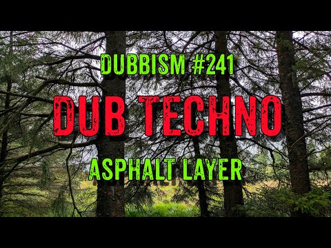DUB TECHNO || DUBBISM №241 - Asphalt Layer