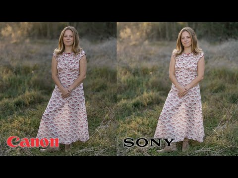 Sony FE 50mm F1.2 GM vs Canon RF 50mm F1.2L USM