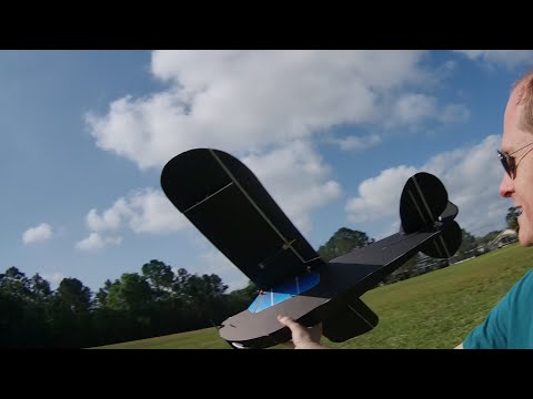 FT Simple Cub Maiden from Live Build