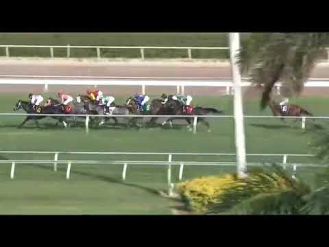 2017.12.07 Maiden Claiming (USA) - Lisa Limon