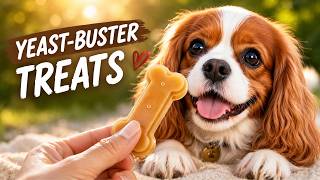 DIY Yeast-Fighting Dog Treats Recipe! 🐾 Stop Yeasty Ears & Paws Naturally