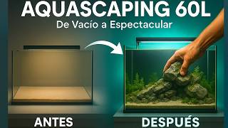 🌿 Montaje de Aquascaping 60 Litros Paso a Paso | De Acuario Vacío a Paisaje Natural  💧