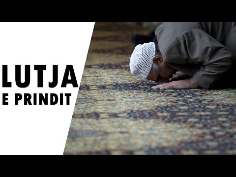 Lutja e Prindit e beri djalin dijetar te madh!