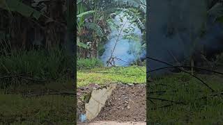 Download lagu Suara Petasan Tanda Habis Sunatan - Hazsn Khitanan #fypシ #asap #petasan mp3 Download lagu Suara Petasan Tanda Habis Sunatan - Hazsn Khitanan #fypシ #asap #petasan mp3