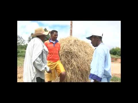 Bevanitika - POLISY, ZANDARMA, MIARAMILA