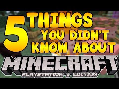 5 Things You Didn't Know About Minecraft PS3 Edition