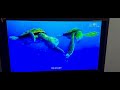 Finding Nemo Turtle Ride Scene