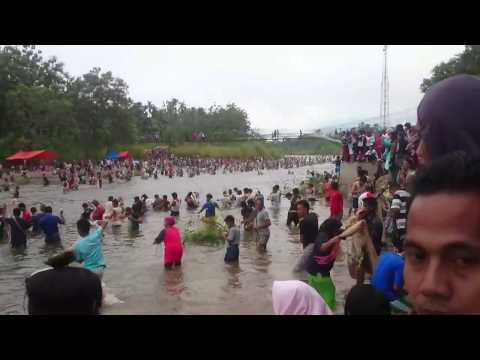 Seruuu..!!! Tradisi Menangkap ikan di Pasaman Timur