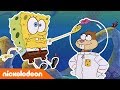 SpongeBob SquarePants | Een eekhoorn ontmoeten | Nickelodeon Nederlands