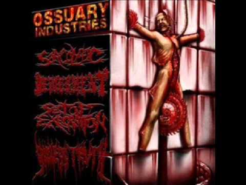 Sarcolytic - Serpent Of Hecate