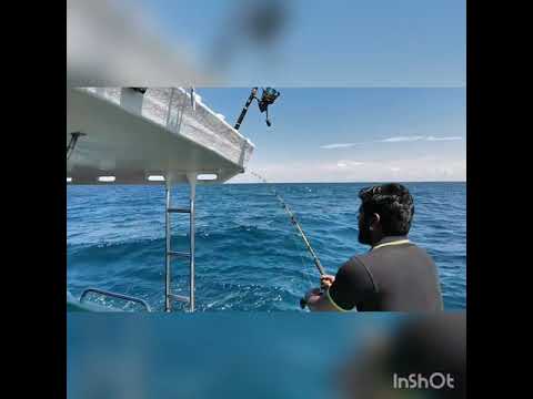 Rompin Sailfish fishing 16/08/20 Penn Spinfisher VI 8500ll combo Ugly Stik Tiger Elite Jigging rod