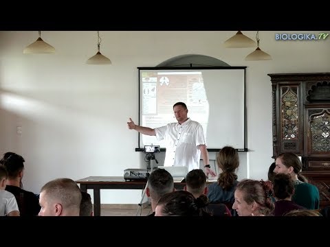 Parazitaellenes tisztítás után puffadás - Megszabadulni a parazitáktól az agyaggal