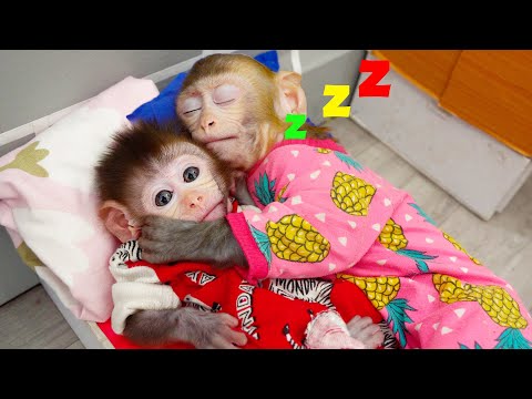 ????Animals Home Monkey baby Bi Bon helps dad cook and take care of her younger brother | Funny Video