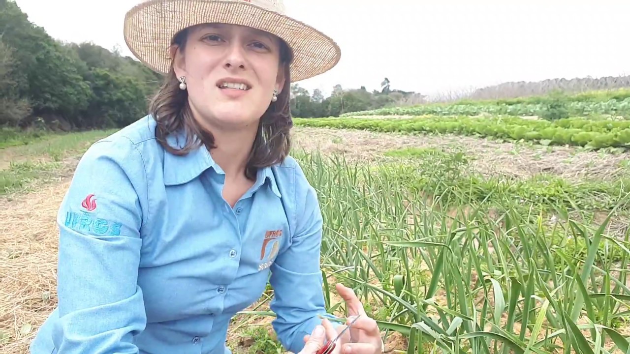 Benefícios da cobertura de solos