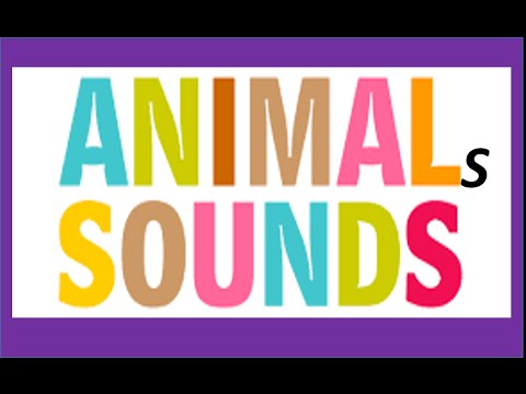 Sounds of animals for children