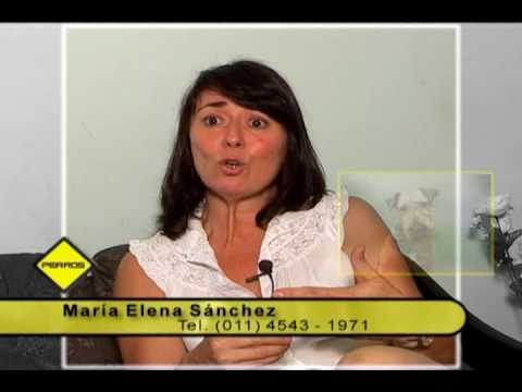 Entrevista a Maria Elena Sanchez Sobre AireDaleTerrier