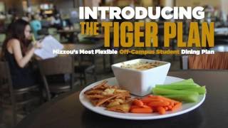 The Tiger Plan