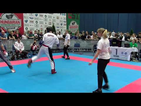 Roman Brundl v Elijah Everill Hungarian Kickboxing World Cup 2019