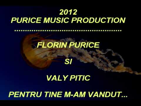 FLORIN PURICE SI VALY PITIC-PENTRU TINE M-AM VANDUT