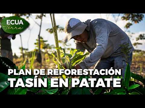 Ecuaterra🌱 Plan de reforestación Tasín en Patate a través de especies nativas | Ecuavisa