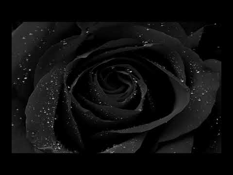 LeeDM101 (Mashup) - Night Sympathy (Depeche Mode vs Chvrches)