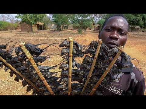 , title : 'شاهد: لحم الفأر طبق الفئات الأكثر فقرا المهددة بالجوع في ملاوي'