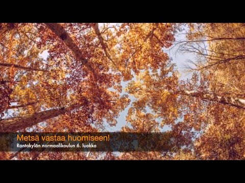 Metsä vastaa huomiseen!