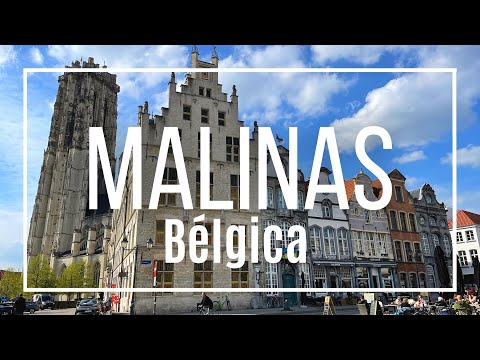 Video de Mechelen