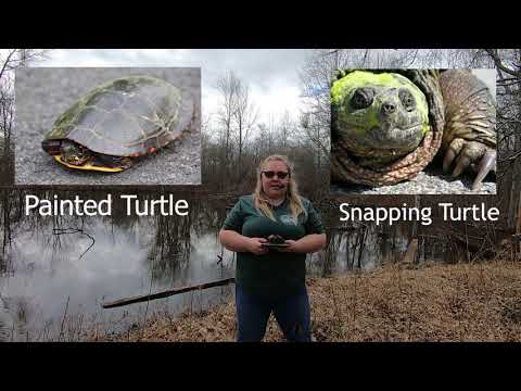 Springtime at Heartland