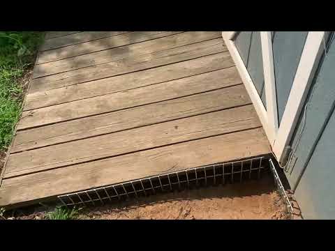 Groundhogs Burrowing Around the Shed in Manahawkin, NJ
