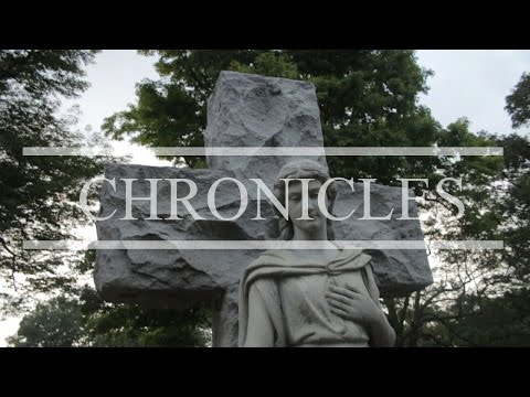 Meek Mill (remix) King Ace D'General - CHRONICLES