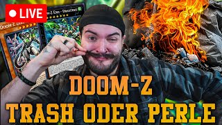 Rein mit DoomZ
