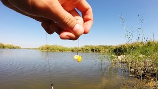 Как насаживать кукурузу на крючок для рыбалки