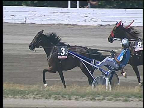 Trotto 25/06/2016 - 2° corsa