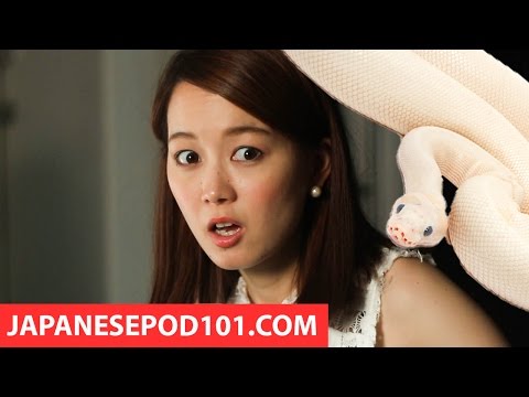 Learn Japanese Superstitions  Funeral Hearse Good Luck Tea