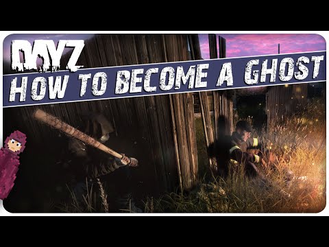 25 Things You NEED TO KNOW about Stealth in 3 minutes | DayZ