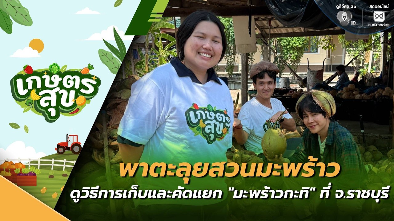 เกษตรสุข EP.12 | พาไปตะลุยสวนมะพร้าว ดูวิธีการเก็บและ?