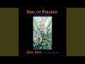 Bird of Paradise (Deluxe Edition) (feat. Todd Boston)
