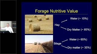 Forage Testing with Dr. Joao 'Joe' Vendramini