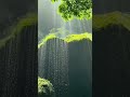 Barish WhatsApp Status Short Video Barish Whatsappstatus