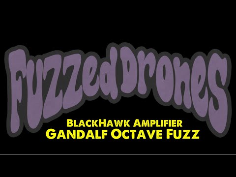 Black Hawk Gandalf one knob Octave Fuzz image 4