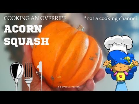 download lagu mp3 mp4 Orange Colored Squash, download lagu Orange Colored Squash gratis, unduh video klip Orange Colored Squash