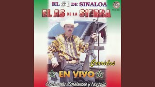 Se Les Pelo Baltazar - En Vivo (feat. Los Gavilleros De La Sierra)