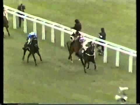 See You Then- The 1987 Champion Hurdle (Cheltenham)