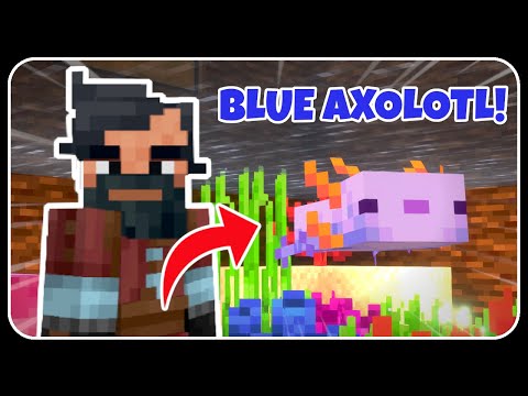 I FOUND RARE BLUE AXOLOTL!