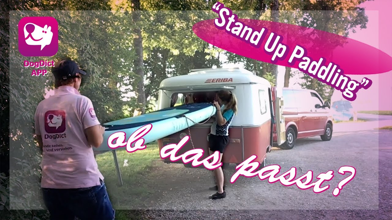 Folge 09: Stand up Paddling mit Hunden