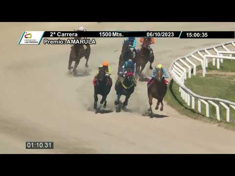 231006 c02 - HAVASU - HIPODROMO LAS PIEDRAS