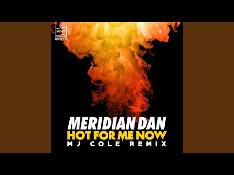 Hot For Me Now (MJ Cole Remix)
