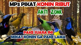 Download lagu Suara Pikat Burung Kecil Paling Ampuh Konin Ribut Suara Jernih ( Free Video Background ) mp3 Download lagu Suara Pikat Burung Kecil Paling Ampuh Konin Ribut Suara Jernih ( Free Video Background ) mp3
